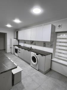 Kuchyň nebo kuchyňský kout v ubytování Apple Hostel Bishkek
