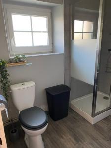 a bathroom with a toilet and a shower at Aux Petits Bonheurs in Grandcamp-Maisy +19 photos