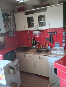 a small kitchen with a sink and red tiles at Cosy Nest on Floor 4 of 4 in Satu Mare
