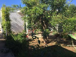 Zahrada ubytování Camping Cala dei Ginepri