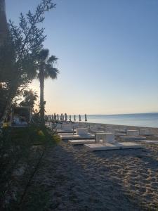 a beach with chaise lounges and a palm tree at Athos Mare Holiday Studios in Pefkochori