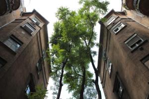 two tall buildings with trees in between them at Fanni Budapest Guesthouse in Budapest