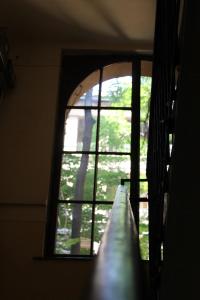 a window in a room with a view of a tree at Fanni Budapest Guesthouse in Budapest