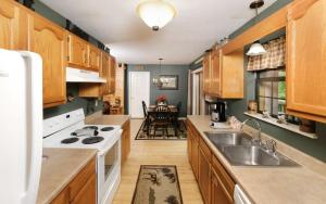 セバービルにあるTN Bear Denのシンクとコンロのあるキッチン トップオーブン