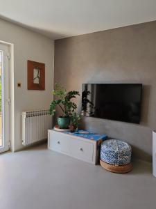 TV/trung tâm giải trí tại Apartments Mirta