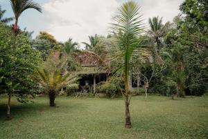 Φωτογραφία από το άλμπουμ του Huma Terra Lodges σε Hikkaduwa