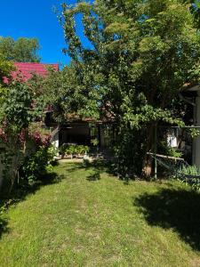 a yard with a tree and a house at Elisaveta's Retreat. Come to feel the tranquility! in Râşnov