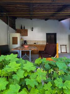 a kitchen with a table and a chair and plants at Elisaveta's Retreat. Come to feel the tranquility! in Râşnov