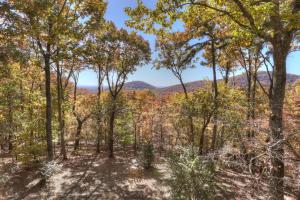a view of a forest of trees in the fall at Vista Haven - Mountain Views and Fireplace and Big Screen TVs and Extras in Jasper