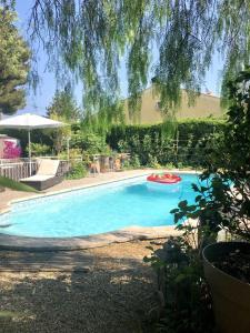 een groot zwembad met een rode frisbee erin bij Les Pinsons studio in La Ciotat