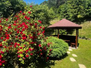 a gazebo with a bunch of red flowers and a bush at Muszyńskie Zacisze in Muszyna