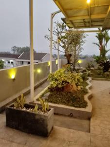 RADJIMIN Homestay في Adi Sutjipto: فناء مع نباتات أعلى المبنى +5 صور