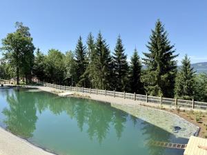 most nad stawem z drzewami w tle w obiekcie Rollstuhlfreundliche Ferienwohnung in ruhiger Lage- Panorama Terrasse, 2 SZ w mieście Pöllauberg