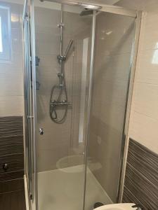 a shower with a glass door next to a toilet at Apartman Marina Vrsi in Vrsi