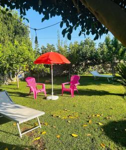 Vonkajšia záhrada v ubytovaní Il Casale di Luisa