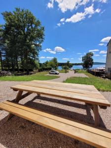 eine Holzbank auf dem Boden in der Nähe des Wassers in der Unterkunft Maison bord du Lac des Settons in Montsauche-les-Settons
