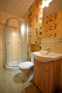 a bathroom with a shower and a toilet and a sink at Pokoje Gościnne U Babci in Zakopane