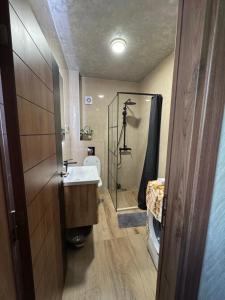 a bathroom with a toilet and a sink and a shower at Kasia in Budva +7 photos
