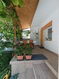 Kuchyň nebo kuchyňský kout v ubytování Pelso Holiday Apartments Hóvirág