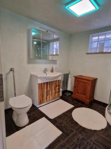 a bathroom with a toilet and a sink with a mirror at Ferienhaus Anna mit Kamin, Terrasse, Hof & Garage in Haßloch +49 photos