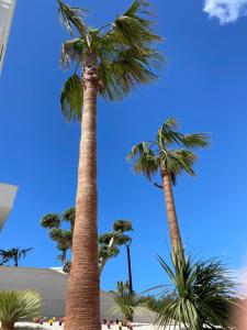 Naturlandskabet i nærheden af lejligheden