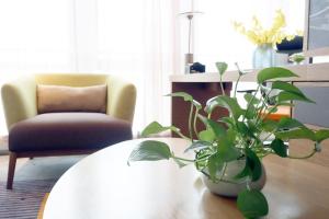 Foto dalla galleria di Hampton by Hilton Guangzhou Zhujiang New Town - Free Shuttle Bus to Canton Fair a Canton