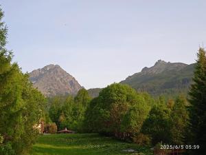 a field with trees and mountains in the background at Ubytovanie Tatranské Zruby in Vysoké Tatry