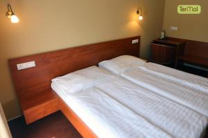 Postel nebo postele na pokoji v ubytování Penzion Termal