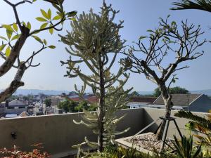 RADJIMIN Homestay في Adi Sutjipto: شجرتان على سطح منزل