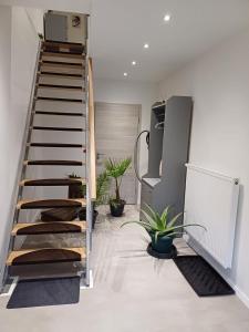 Fotografie z fotogalerie ubytování Ferienwohnung Krokus v destinaci Drebach
