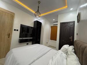 TV a/nebo společenská místnost v ubytování Smart 1 bedroom apartment Yaba