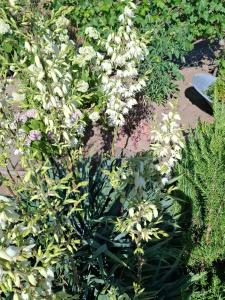 Gallery image of Zahradní chata v Hloubětíně in Prague +11 photos