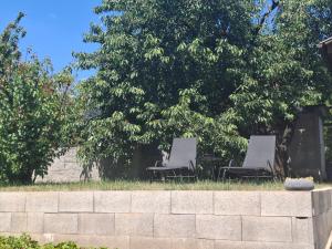 Gallery image of Zahradní chata v Hloubětíně in Prague