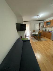 TV a/nebo společenská místnost v ubytování Apartment Ramy + 26 fotografií