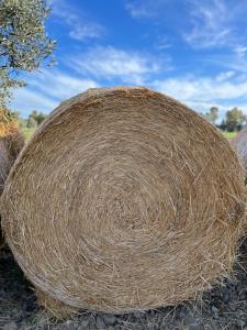 Fotografie z fotogalerie ubytování Il Gelsomino Bio Agriturismo v destinaci Alberese