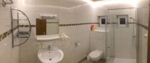 a bathroom with a sink and a shower and a toilet at Ferienwohnung Für Zwei Gäste in Gortipohl