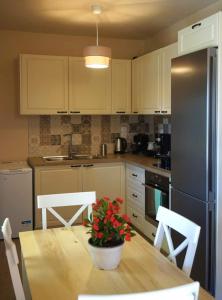 a kitchen with a table with a potted plant on it at Dimitras house palaiopoli in Kythira