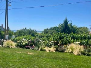 A garden outside Panorama Vine House
