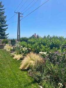 A garden outside Panorama Vine House