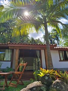 a house with a palm tree in front of it at Chalé Canarinho in São Pedro da Serra