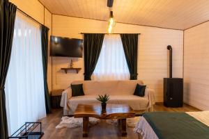 a living room with a couch and a table at Nature Loft in Porumbacu de Sus