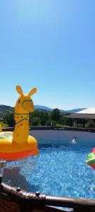 a pool with an inflatable animal in the water at Komfortowy Domek z kominkiem LIMANOWA - NOWY SĄCZ in Limanowa