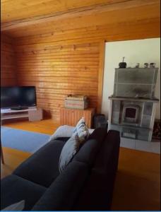 a living room with a couch and a fireplace at Cozy cottage on lake in Iokela