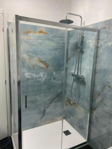 Una ducha con un cuadro de peces en la pared. en Veyana House, en Verona 17 fotos más