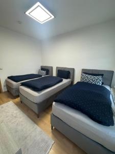 a room with three beds and a skylight at WE5 Leipzig Luft und Leben in Leipzig