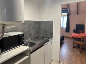 una cocina con fregadero y estufa horno superior en Studio/Hôtel Porte De France, en Saint-Louis 12 fotos más