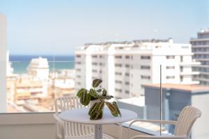 a small table with a cactus on top of a balcony at Hotel RH Arena - Todo Incluido in Gandía