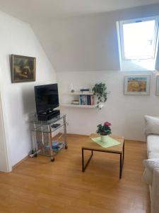 ウンターウールディンゲンにあるBodenseeZEITのテレビとテーブルのあるリビングルーム