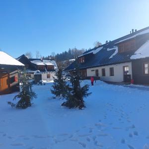 Apartmány u Ivanky, Polanský dvůr 1149 v zimě