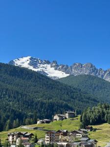 a town on a hill with a snow covered mountain at Wood Peak Apartment in Semogo